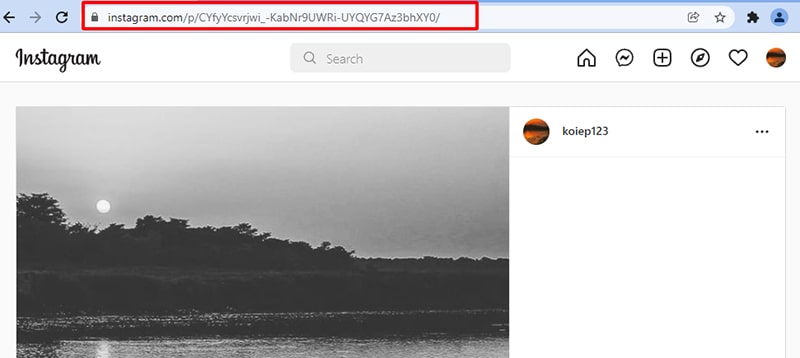 copy private post link