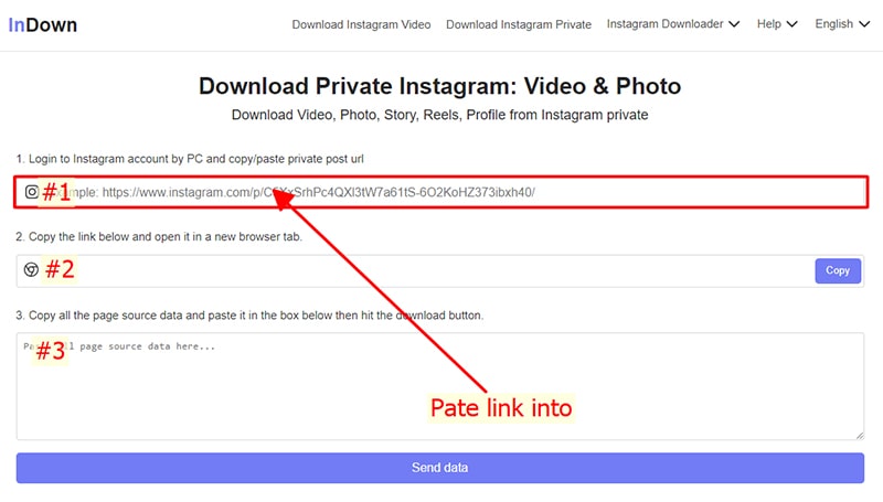 paste link into input field #1